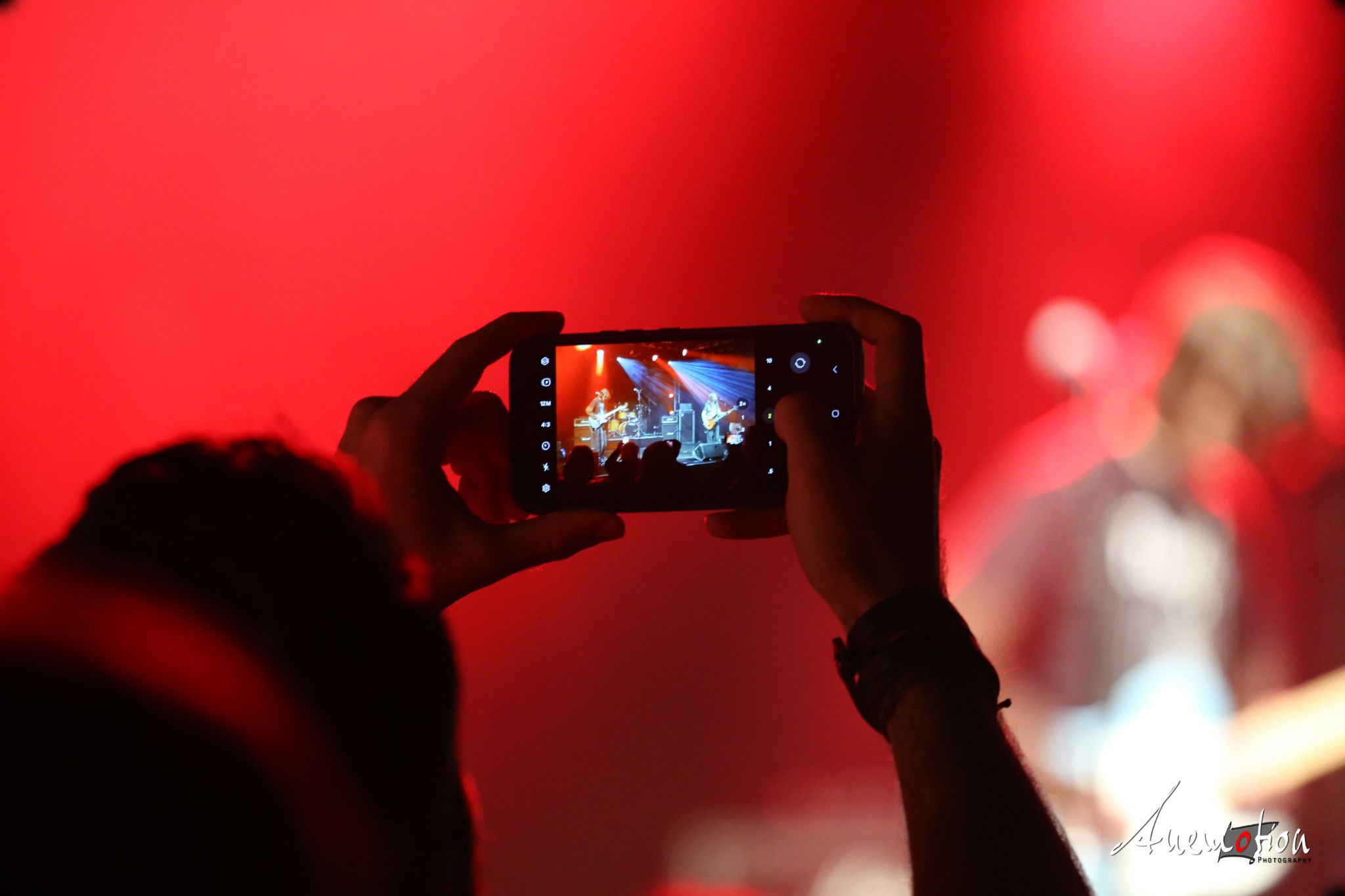 ElephantsFalling (4)